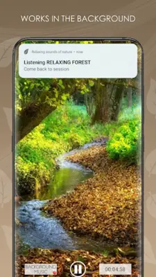 Nature relax music android App screenshot 2
